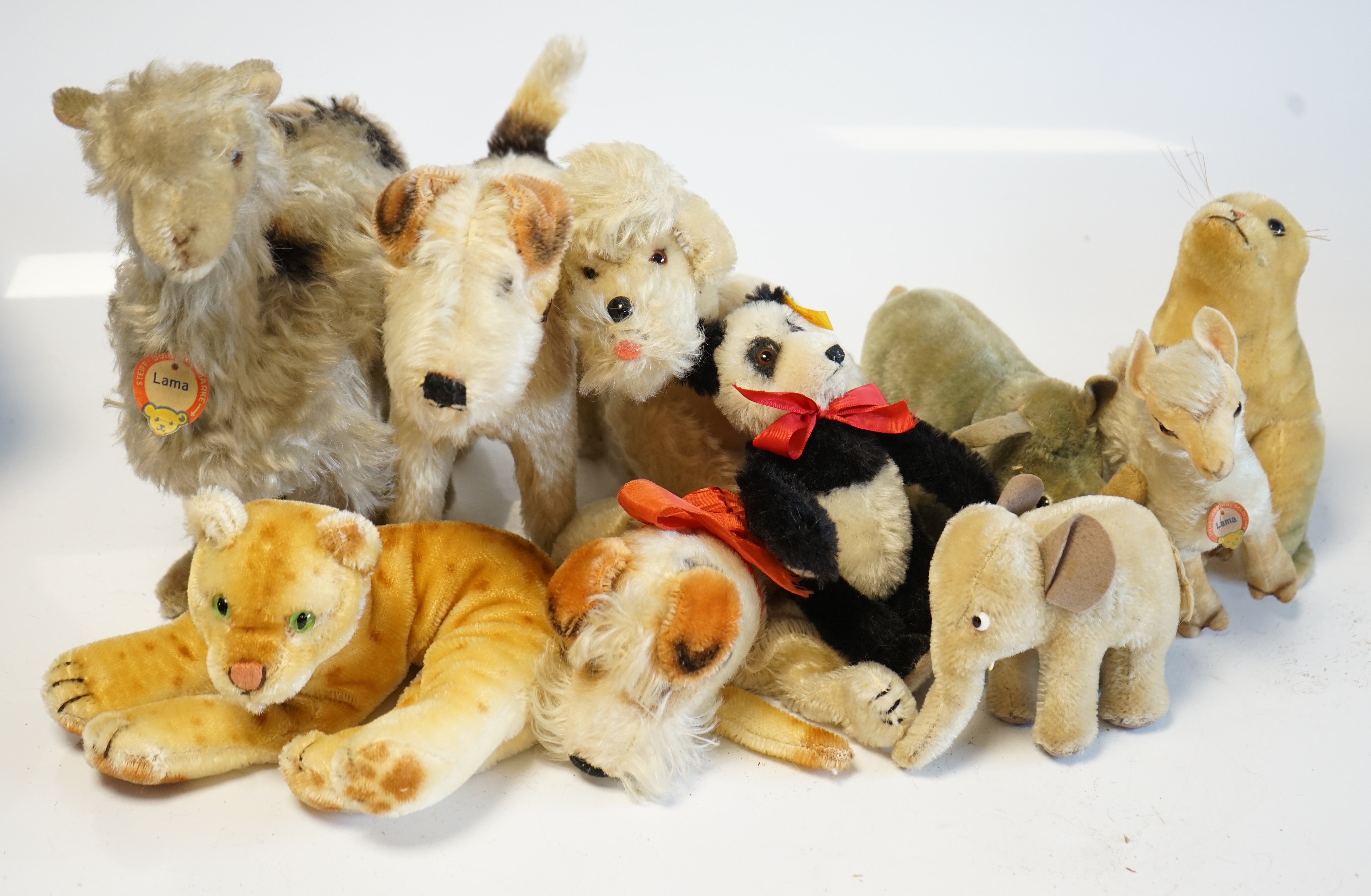 Ten assorted 1960's Steiff animals, some with I.D., some not, including Foxy the terrier and a Panda Teddy Baby. Condition - fair